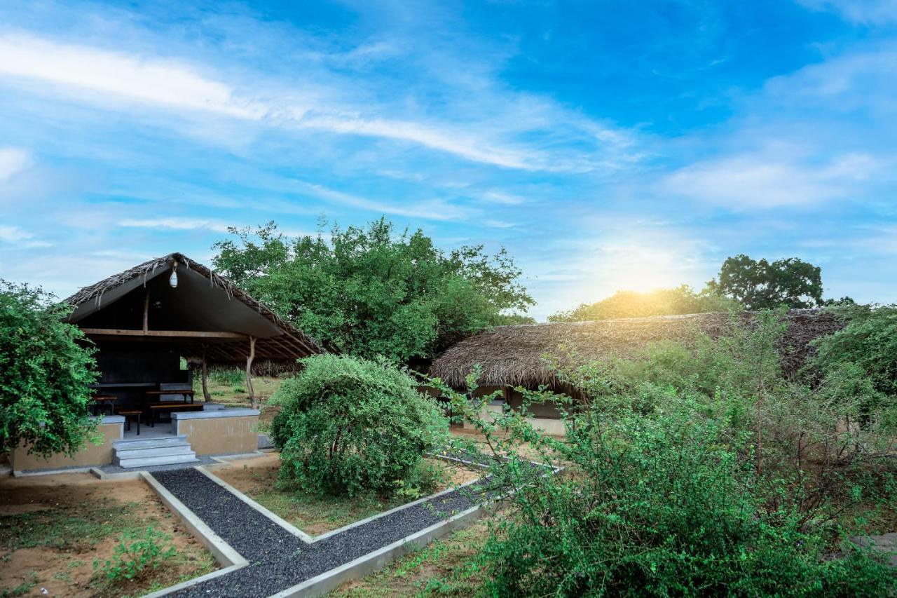Yala Wild Hut - Yala Hotell Tissamaharama Eksteriør bilde